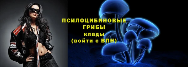 твердый Волоколамск